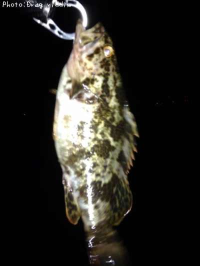 �����Υ���Х�