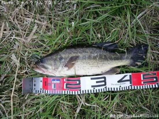 �֥�å��Х�