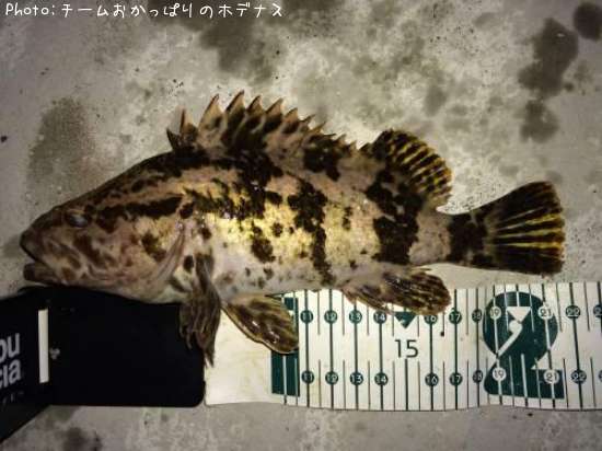 �����Υ���Х�