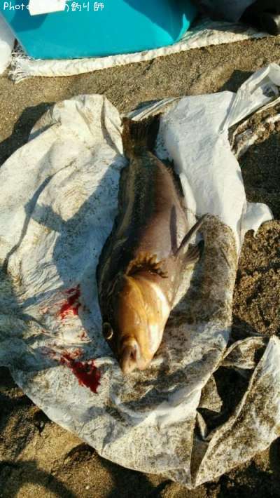 �����ʥ�