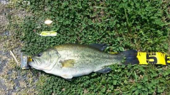 �֥�å��Х�