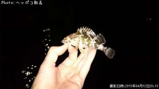 �����Υ���Х�