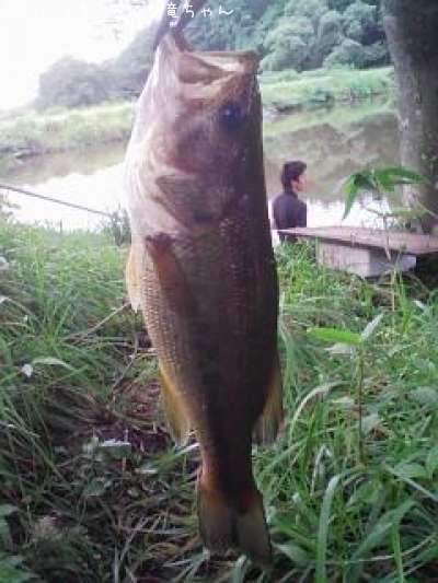 �֥�å��Х�