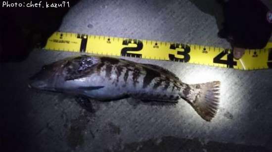 �����ʥ�