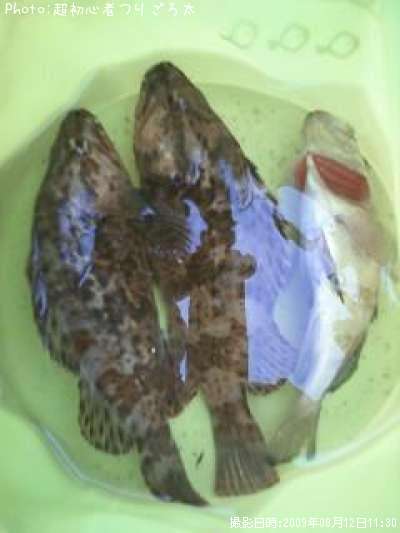 �٥å�������