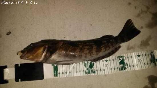 �����ʥ�