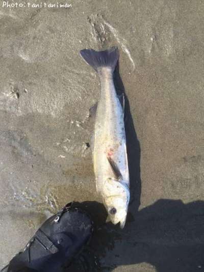 �����Х�