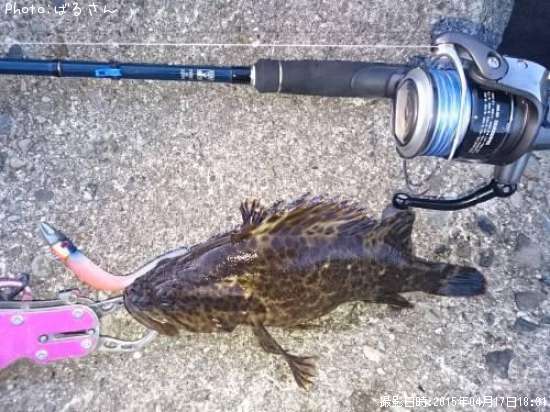 �٥å�������