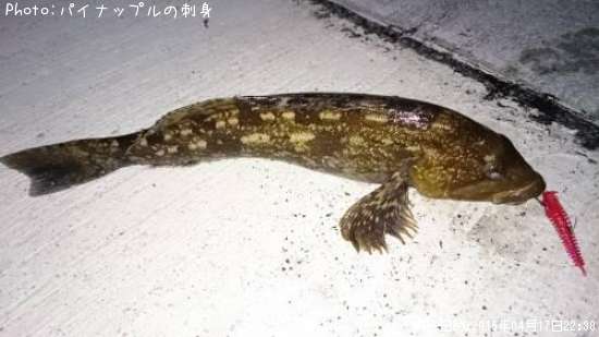 �����ʥ�