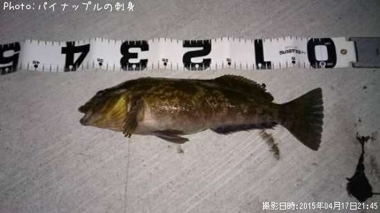 �����ʥ�