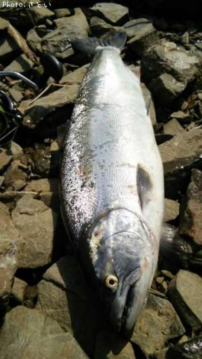 ������ޥ�