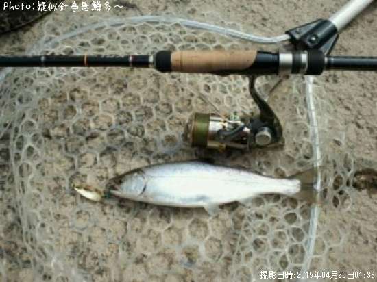 ���ĥ��ޥ�