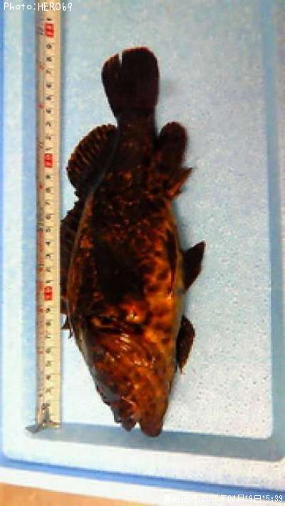 �����Υ���Х�