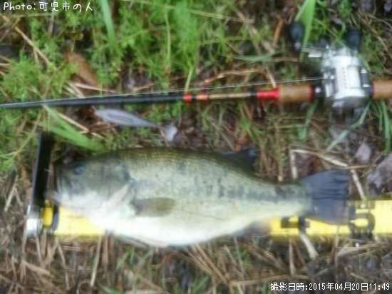 �֥�å��Х�