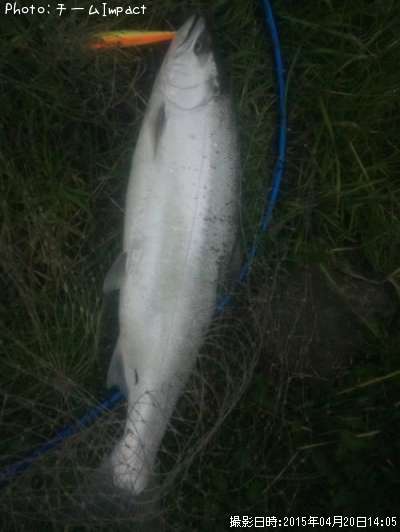 ������ޥ�