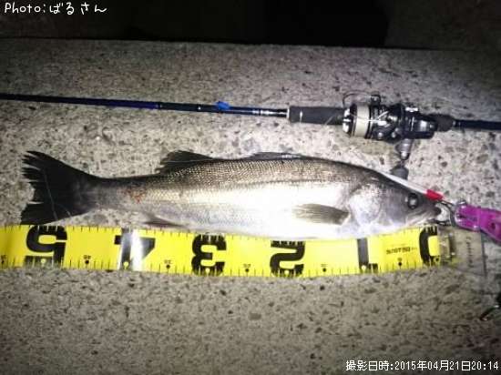 �����Х�