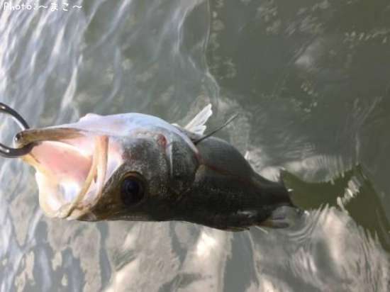 �����Х�