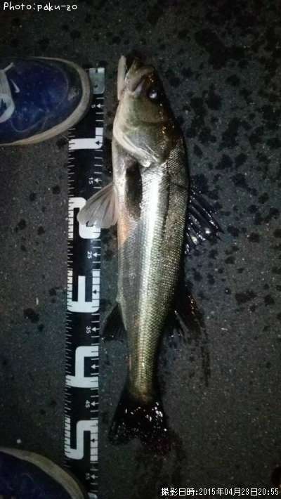 �����Х�