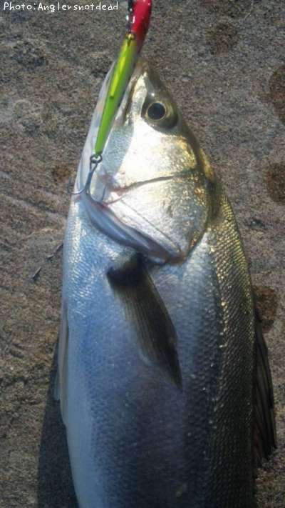 �����Х�