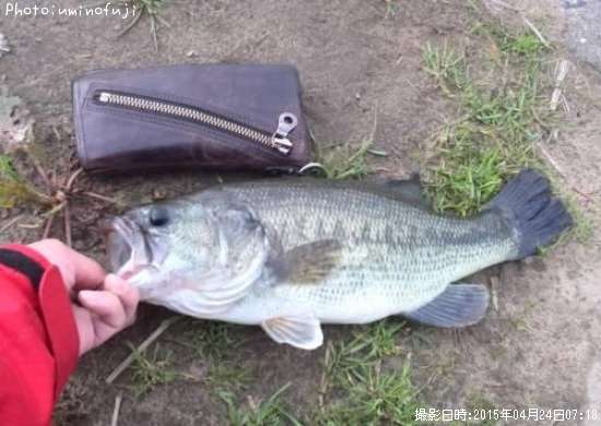 �֥�å��Х�