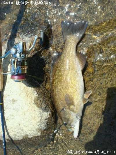 ���⡼��ޥ���