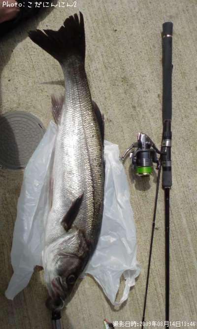 �����Х�