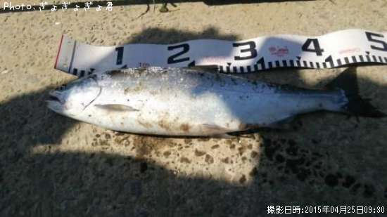 ������ޥ�