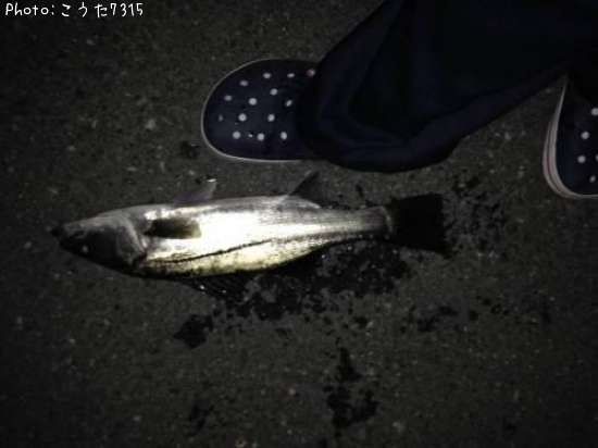 �����Х�