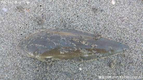 �����ҥ��