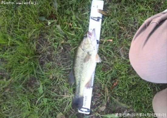 �֥�å��Х�