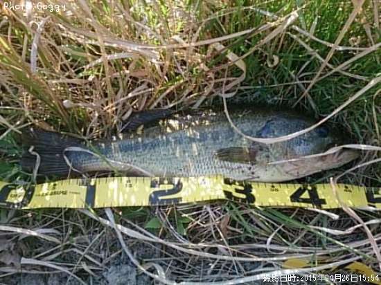 �֥�å��Х�