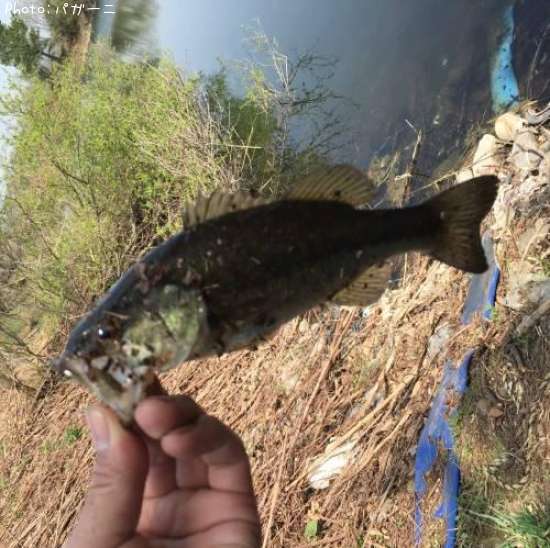 �֥�å��Х�