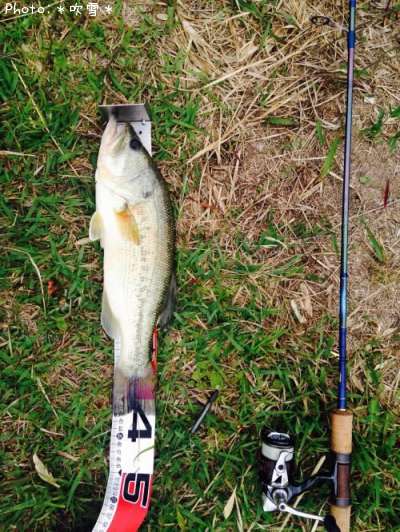 �֥�å��Х�