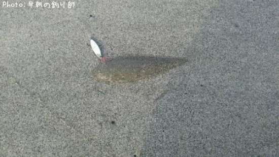 �����ӥ��