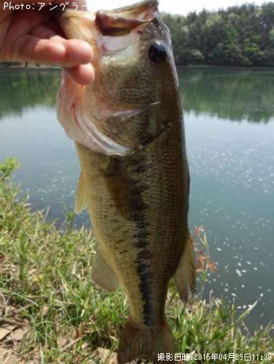 �֥�å��Х�