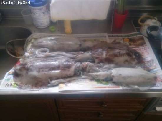 �����ꥤ��