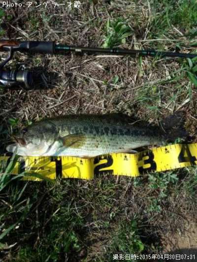 �֥�å��Х�