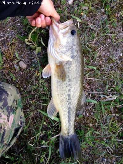 �֥�å��Х�