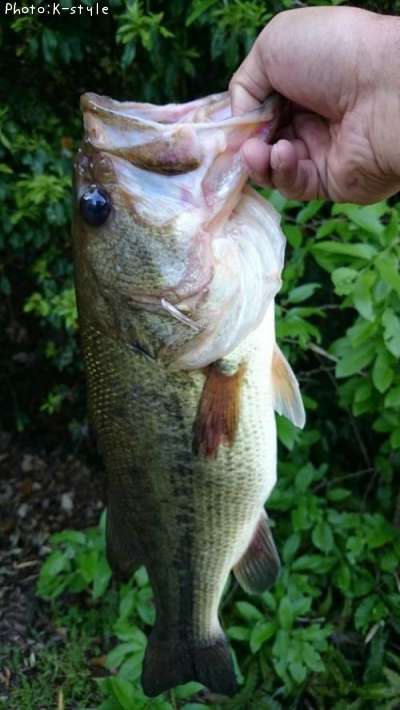 �֥�å��Х�