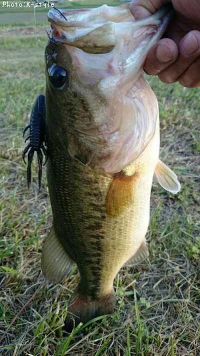 �֥�å��Х�