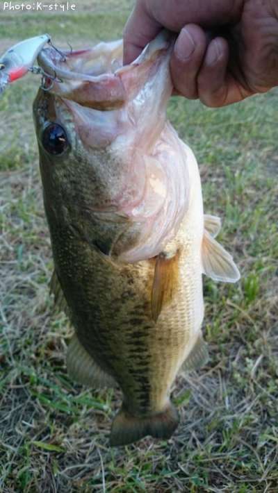 �֥�å��Х�