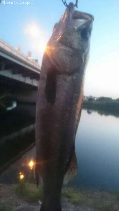 �����Х�