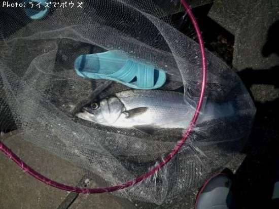 �ҥ饹����