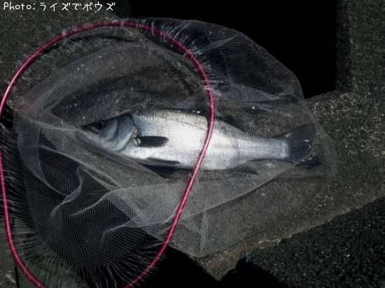 �ҥ饹����