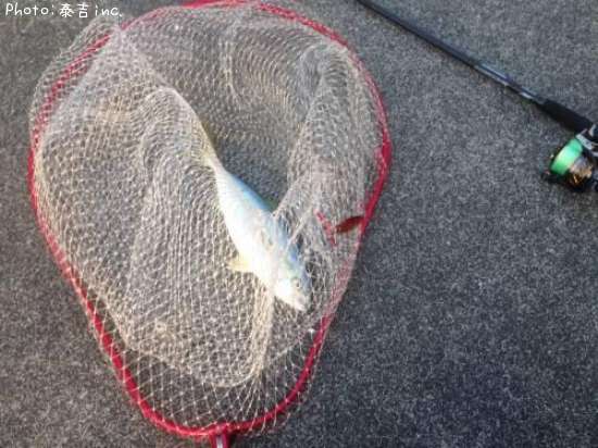 ��ʪ�ʾ���