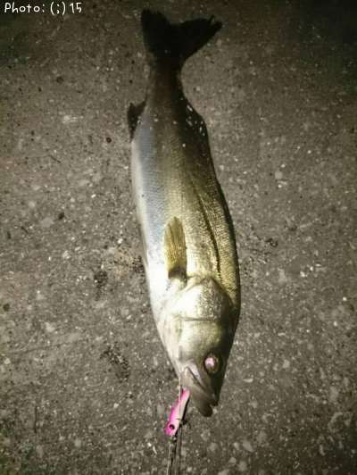 �����Х�