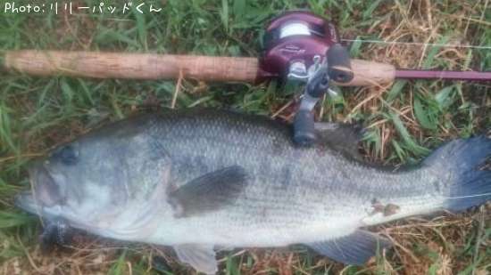 �£̣��ãˡ����£��ӣ�