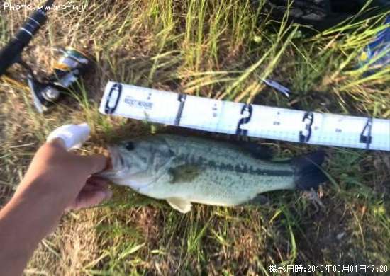 �֥�å��Х�