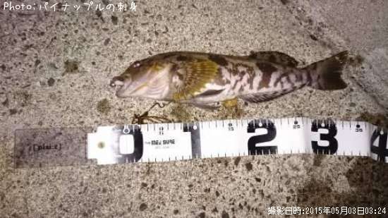 �����ʥ�