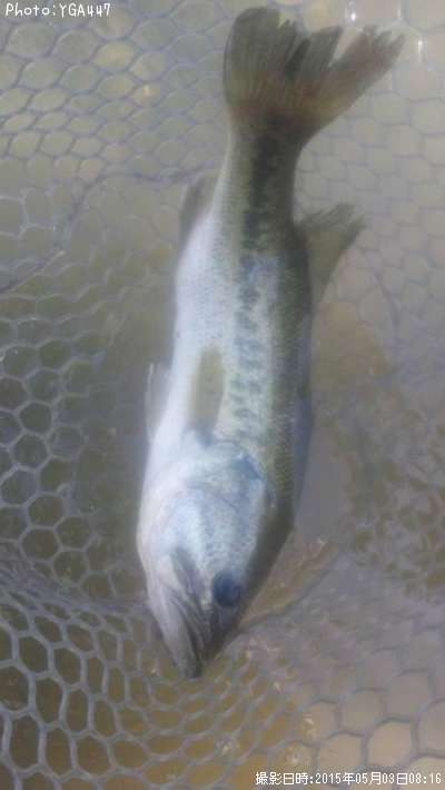 �֥�å��Х�